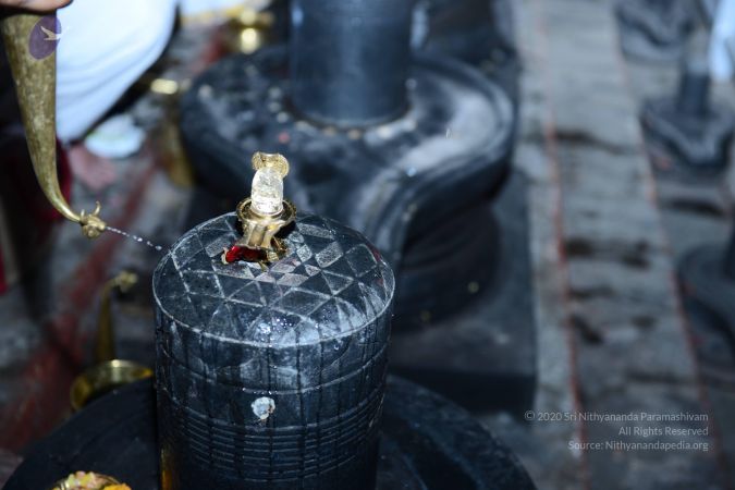 20161212 Photo 2250 1JWbb1bDUe5y6XYtqL2YxC0N795nUsyp4.JPG