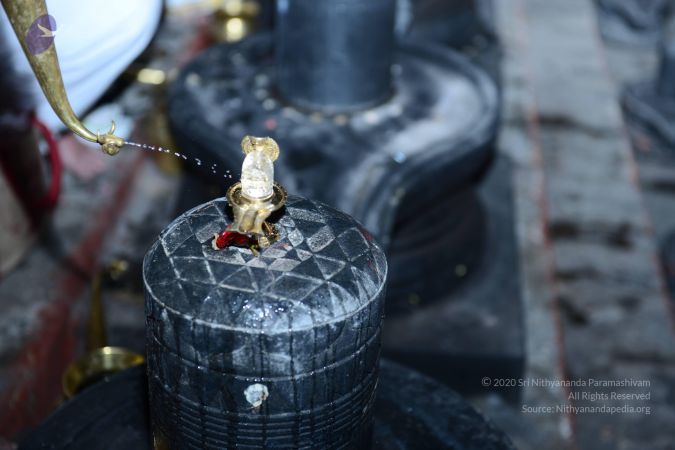 20161212 Photo 2251 1LECGwGL7Kahphps59sFVq4iCWuN1bsbe.JPG