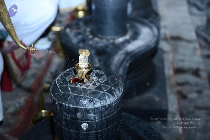 20161212 Photo 2252 10d9OjXq7Mhwya8MHfZ-4kpiq1Q6Vg p7.JPG