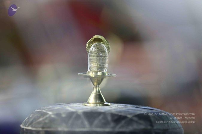 20161212 Photo 2279 1Hl07MRSXn4tKmlYqRsrAKxvtKMABlMZM.JPG