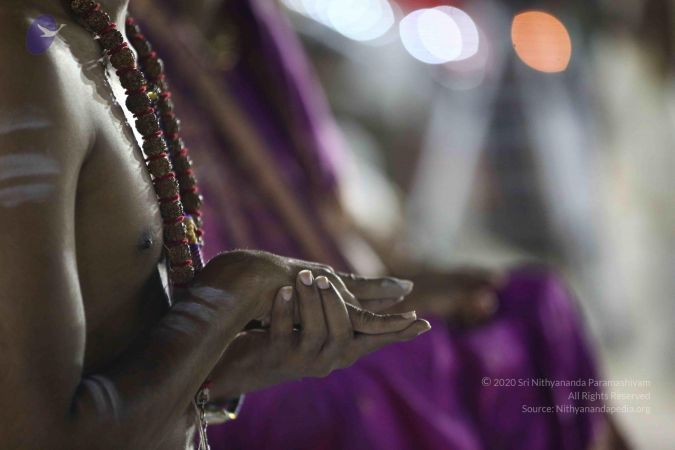 20161212 Photo 2295 14WVussxnMwtCE9egjOQCibH4zaySPJXE.JPG