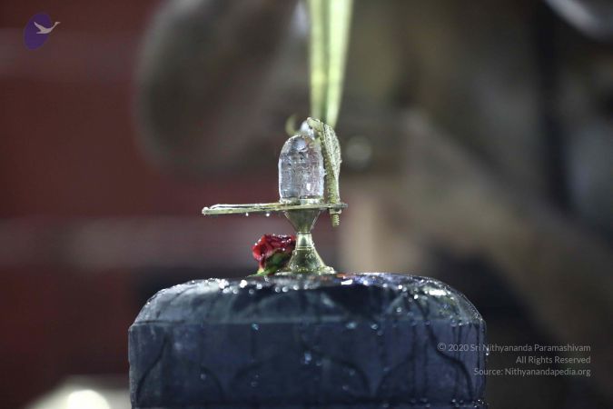 20161212 Photo 2361 1oLKr5Yx8yZ73Kqfb6Us-PJDoBYDCU53l.JPG