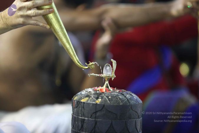 20161212 Photo 2363 1LR1PkQiSbhii-4AOQj117tyo59G8qnnZ.JPG