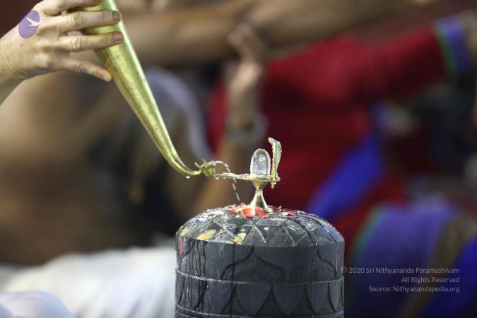 20161212 Photo 2364 1omZv0I0IAggydDPWQGkSvYzdP3OHHCI5.JPG