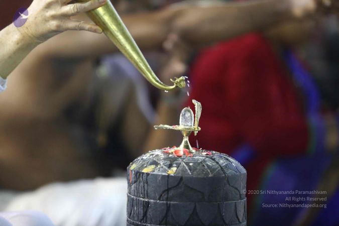 20161212 Photo 2365 1YGGlCUZx4F4PLPLJFtnZOPpbTZQhqze1.JPG