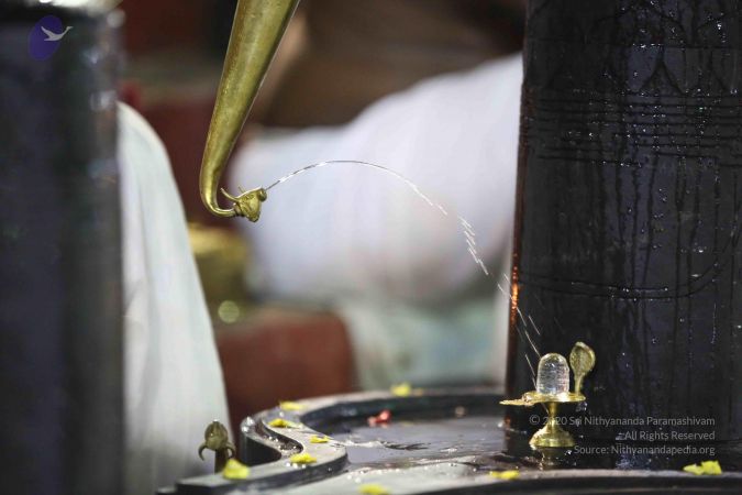 20161212 Photo 2386 1v7YSSsRsbyJUzEX9s3HwB0mY62pZ2QC7.JPG