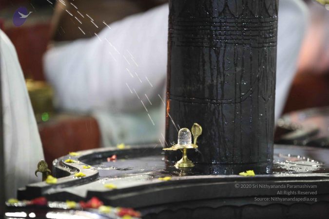 20161212 Photo 2389 1TwDC0SooF6TPbXGOwbtqheaYA J4TkfB.JPG