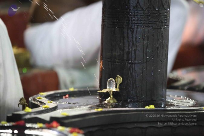 20161212 Photo 2390 1Ll41st6qbE1BqbgbIOQcF5037fZV3eim.JPG