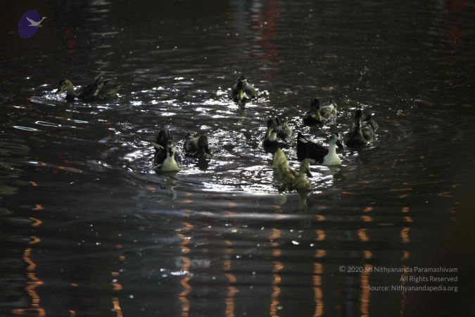 20161212 Photo 2840 1Z6z8EEBbq0neRyDgGlsxsnlbsrX0g5U1.JPG