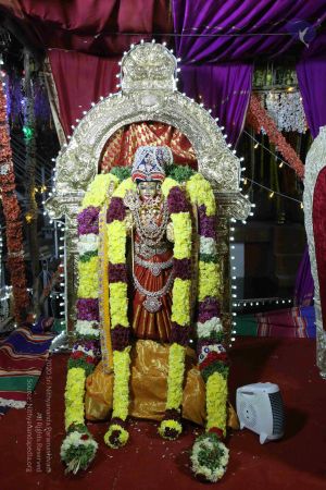 20161212 Photo 3040 1dAUG-WKk-Rfyh6Cv4yCZHb47gjj6DiN7.JPG