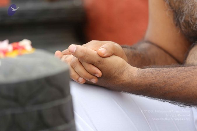 20161214 Photo 1003 1Hm0dP6PyIwA0wnwgV7Kbvj TVBCUaF6r.JPG