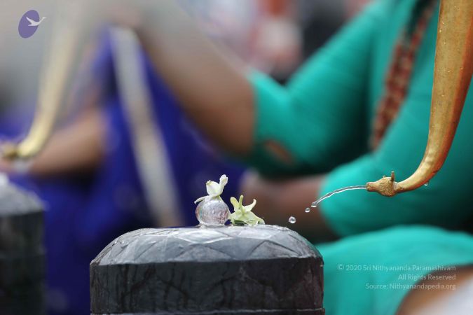 20161214 Photo 1038 1Qbhy e12RfgcBevsaK2IAje2CtFdpCEv.JPG