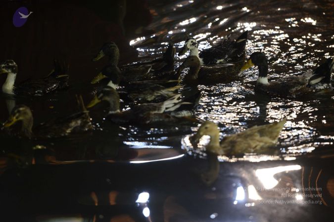 20161214 Photo 1545 1HwCj7POpChun8YBgaOGGnd7nPtUAF oW.JPG