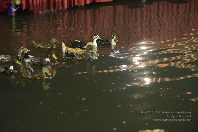 20161214 Photo 1547 1cVWHCZoAjWwaeV2KGDRrwLMqE0wbSiVT.JPG