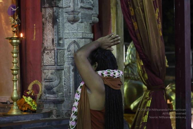 20161215 Photo 1272 1xHkL2JE-tvdrhdqcJigLTwvE5RgFwjhF.JPG