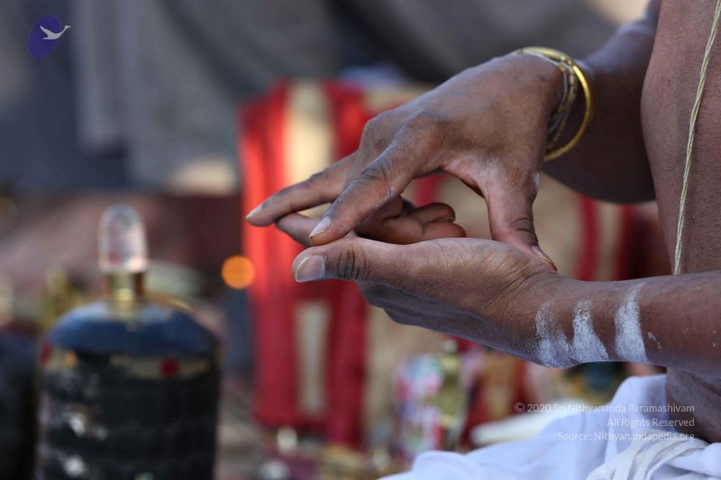 File:20161216 7751 CMP WM.jpg