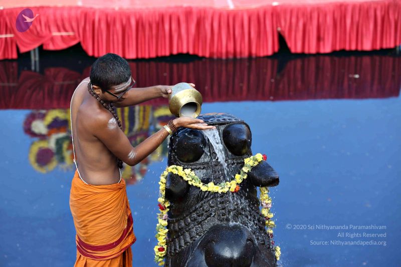 File:20161216 7786 CMP WM.jpg