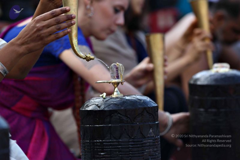 File:20161216 7789 CMP WM.jpg