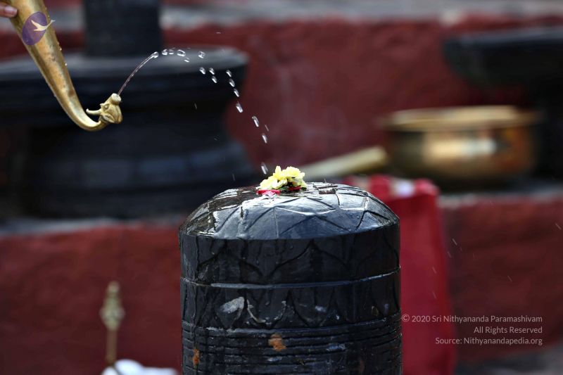 File:20161216 7796 CMP WM.jpg