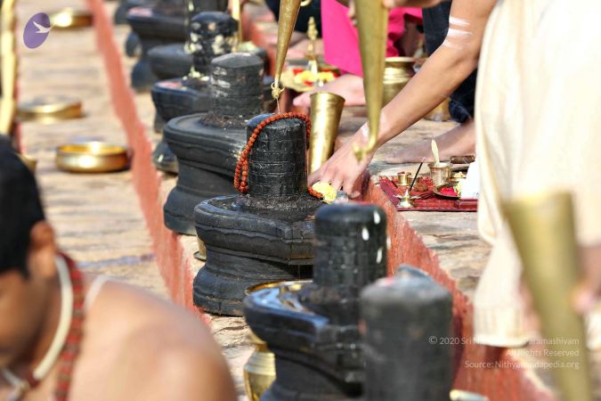 20161216 7800 CMP WM.jpg