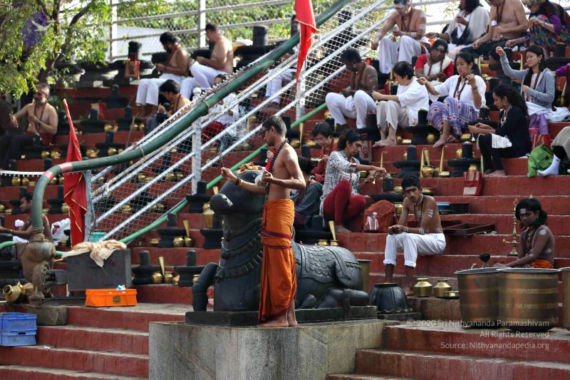 File:20161216 7819 CMP WM.jpg