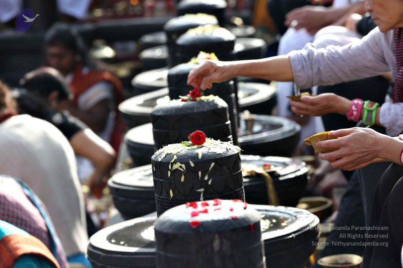 File:20161216 7828 CMP WM.jpg