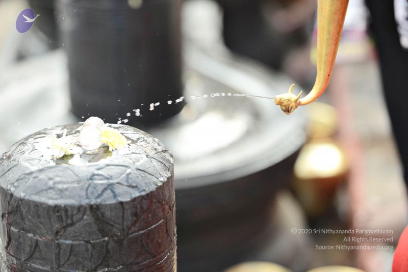 File:20161216 9076 CMP WM.jpg