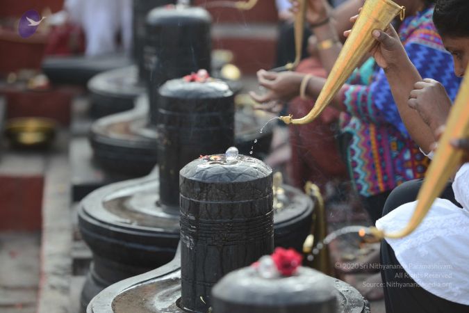 20161217 Photo 1258 10h1hxOB0fLnn9QRi64qJUtma4K9FD4zT.JPG