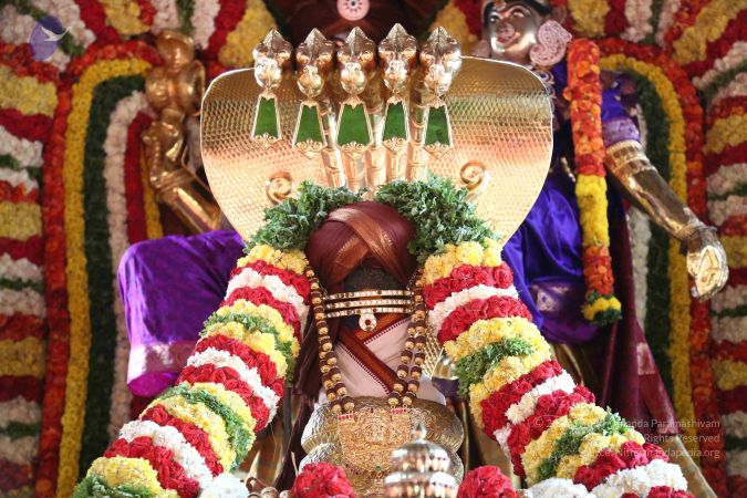 20161217 Photo 2590 1WWP2f2vtmaWmY6O7uAQJL51apJXBVC9T.JPG