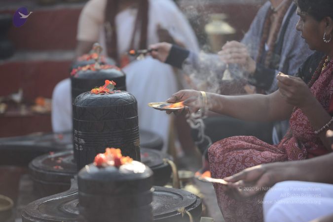 20161218 Photo 1014 1Tn5wvtPloY0fblVIbw5gXR9fccgt9neh.JPG