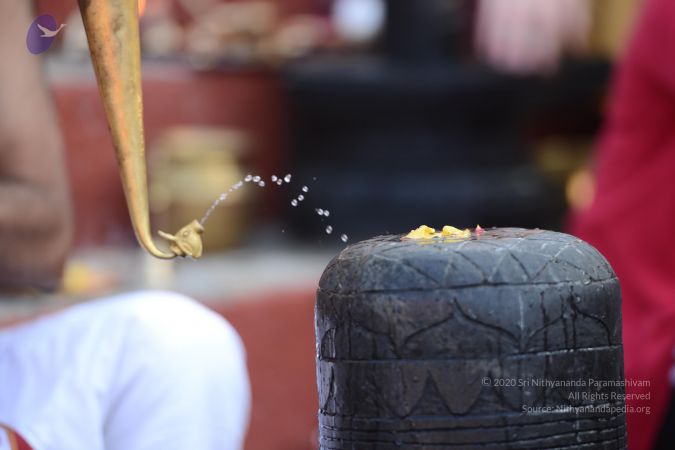 20161218 Photo 1077 1kKg8TfFsiXQlH- gI1xvMIL3d5-zWjBl.JPG