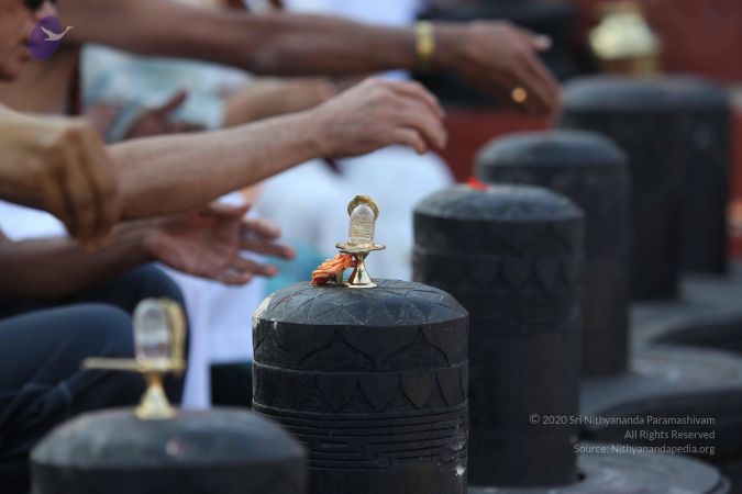 20161218 Photo 1093 1nBMq8nvvF7zZgKdA1KsZO9w7u7TUyByC.JPG