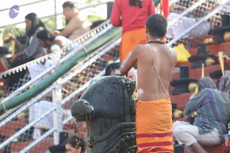 File:20161218 Photo 1118 1RHiJHkWjrz5tEzZNhIZDprnRkPZ5t2sd.JPG