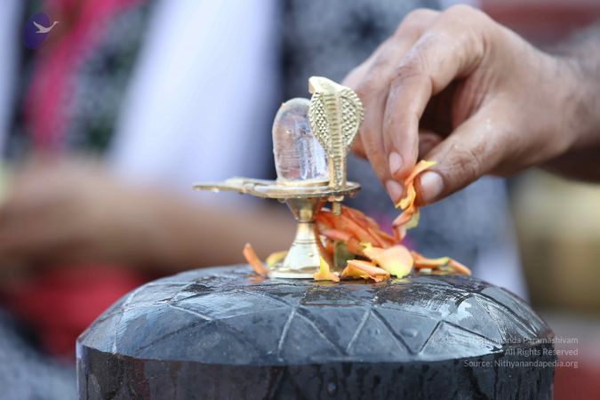 20161218 Photo 1134 1uzSw3NOWyuURRskRgU3FoJAWqo2vW3-K.JPG