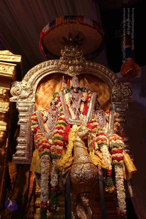 20161218 Photo 2494 1KhjJ76ccLdB4K1yEMUPm-8Q34FVQJnxz.JPG