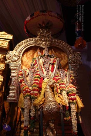 20161218 Photo 2496 1h3ogyC mBj7Fm 0z2WZ4blPMYpWPeFk5.JPG