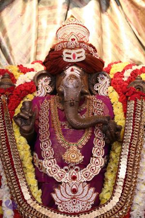 20161218 Photo 2502 1I71FBrFr3nFgzuqoX9ZGi58DFWl-Vito.JPG