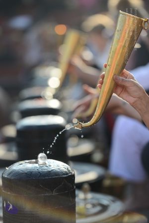 20161219 Photo 1049 1T6nS40cydLp6L5mNSy7C-HaGJR766luk.JPG