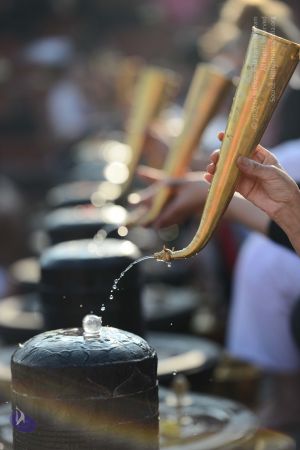 20161219 Photo 1052 15Qi-oPIwLjenukxrj5Guk5roLPN0o04n.JPG