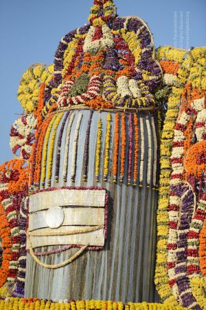 20161219 Photo 1077 1T u5m1POdU-cWBckTYj3Q7Vr7OcoL7yM.JPG