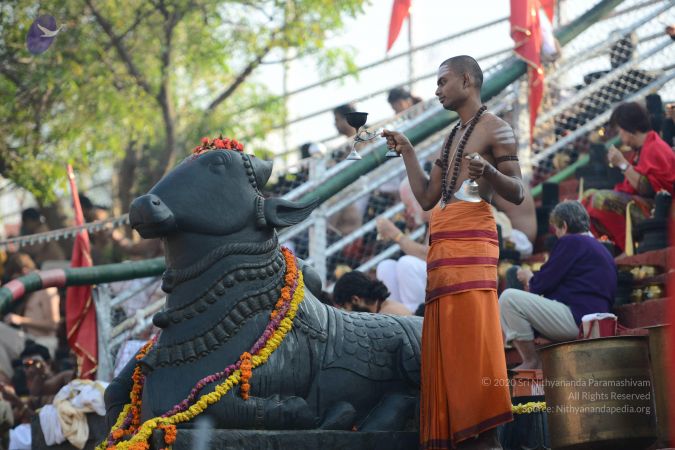 20161219 Photo 1095 1SGu7YM78-UMgwPrgRw07e8Azwoi4ub9S.JPG