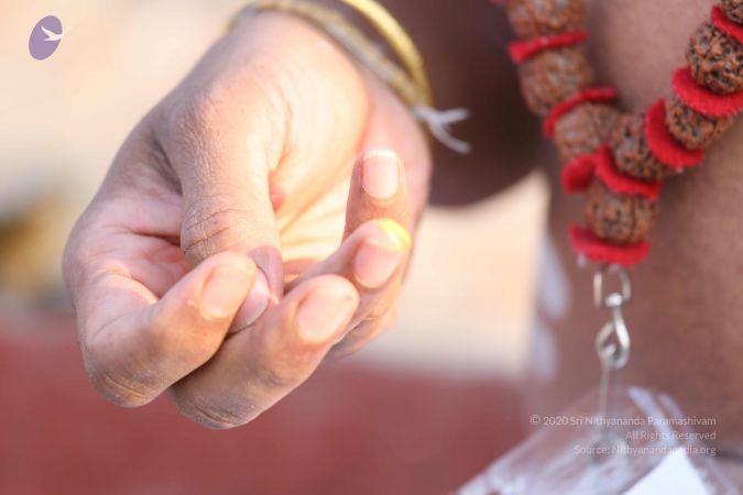 20161219 Photo 1114 14aG-uXvq6aQw2PdKHb4sp1C8erd3Udn7.JPG