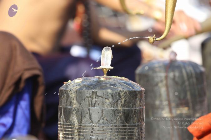 20161219 Photo 1179 1CrfUGF3Fy9ZVHcHs2epaNvxV33IsK6h9.JPG