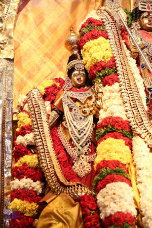 20161219 Photo 1457 1AXFSowL5ab4gdaaRFZt-m1VTvcMBFG A.JPG