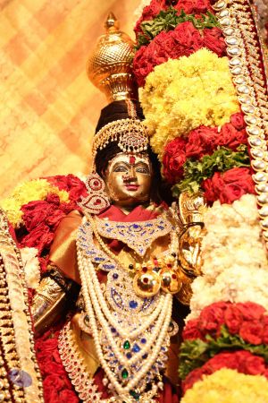 20161219 Photo 1458 1FrRxcvdxJI5N9zbrGNryIjxPzuC6p6LB.JPG