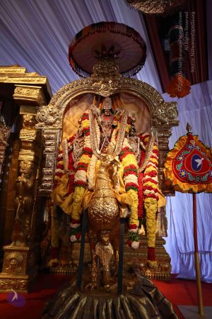 20161219 Photo 1473 1e2COca2f08BDFiO6UJpyH5NZV2T3y0OP.JPG