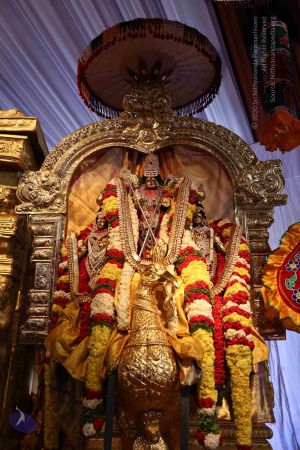 20161219 Photo 1475 1ISss83bmpfEVM3VZPah5l RR1b 0P6IQ.JPG