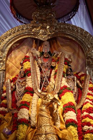 20161219 Photo 1476 1TgHamL5t-6wA-RyrLcBgqVApPUUjWMp5.JPG