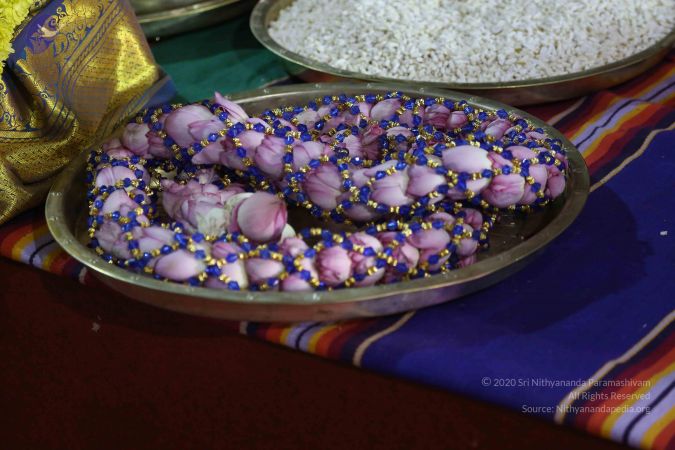 20161219 Photo 3034 11NPpnlt2Jkra4q0oGLYoeJkRDybTaLkm.JPG