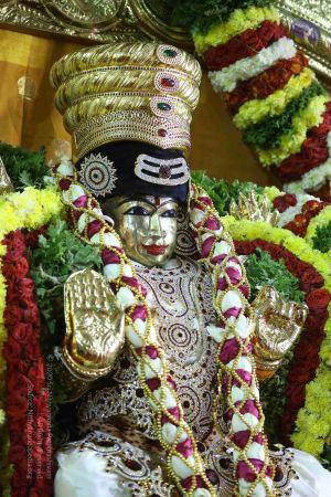 20161219 Photo 3046 1MCfp0rQ0nqvgxK5aQAxkgeWLFIq9WvBT.JPG